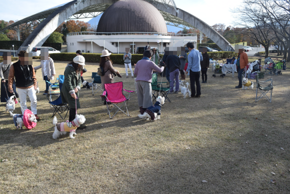 b0242873_11152462.png