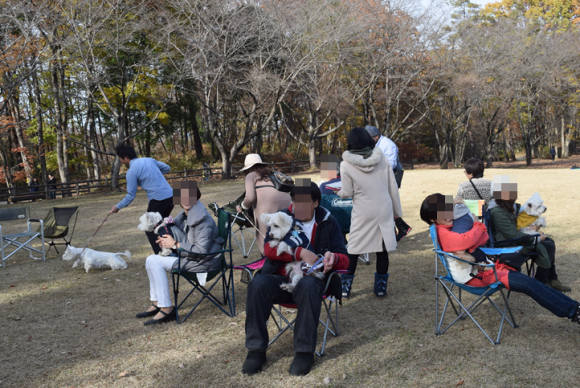 b0242873_11154719.png