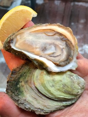 生牡蠣_c0353373_05310329.jpg