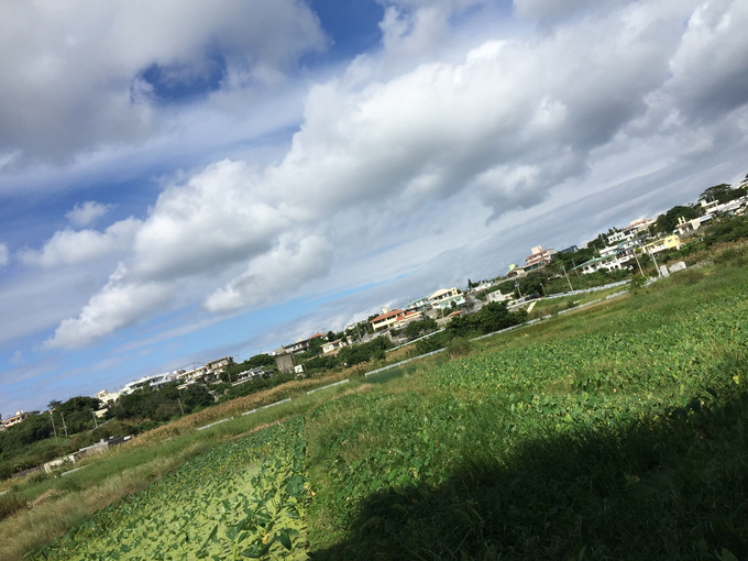 b0176278_22225632.jpg