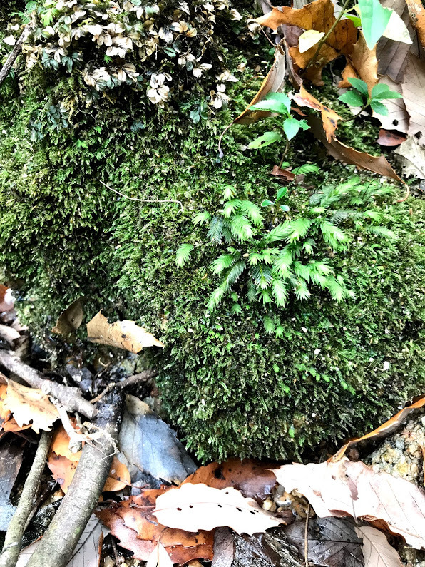 e0024081_09500145.jpg