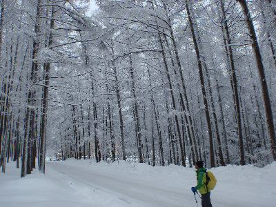 スノーシュートレッキングで雪の風景にどっぷり浸ろう!_a0096989_18034867.jpg