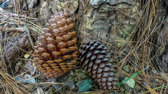 e0176993_07561020.jpg