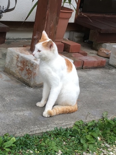 c0359294_22223311.jpeg