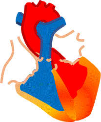 d0364500_18011498.gif