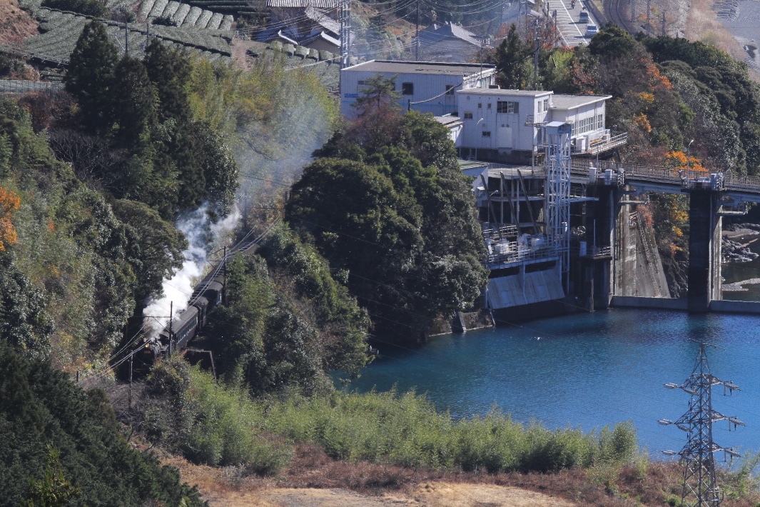 常緑の森に白煙 - 大井川・2017年初冬 -_b0190710_23263755.jpg