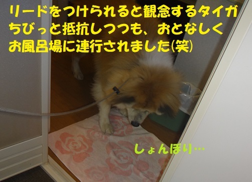 f0121712_20565193.jpg