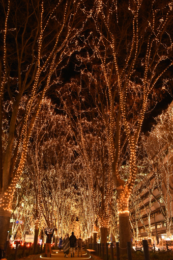 b0259218_04434401.jpg