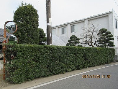 c0353919_07071742.jpg