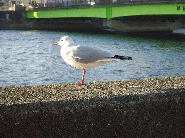 b0248920_23034221.jpg