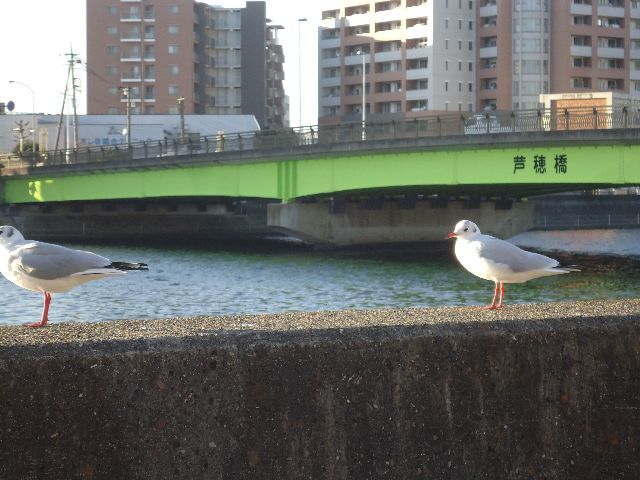 b0248920_23045087.jpg