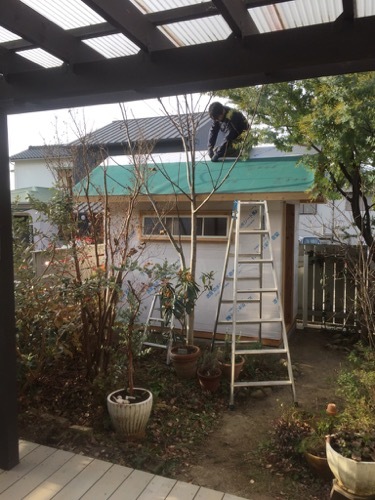 DIYで小屋作り&DIY用品の収納_a0284626_12464838.jpg