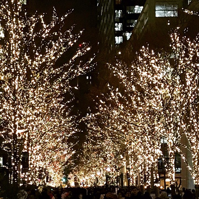 あっという間に香りいい~ビーフシチュー Merry X\'mas~☆☆☆2017_c0103827_12463702.jpg