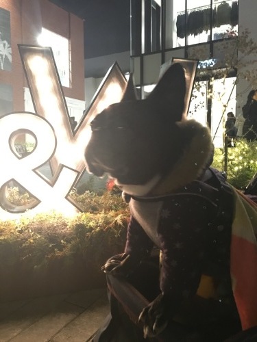 b0113232_20491220.jpeg