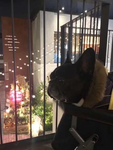 b0113232_20500241.jpeg