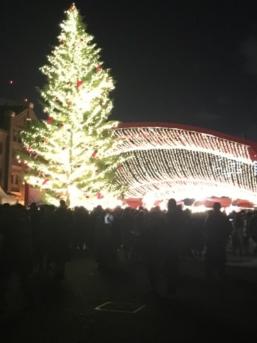 b0113232_20501849.jpeg