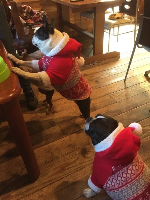 b0369239_13033762.jpeg