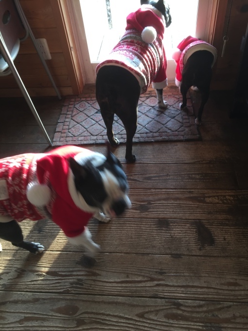 b0369239_13045888.jpeg