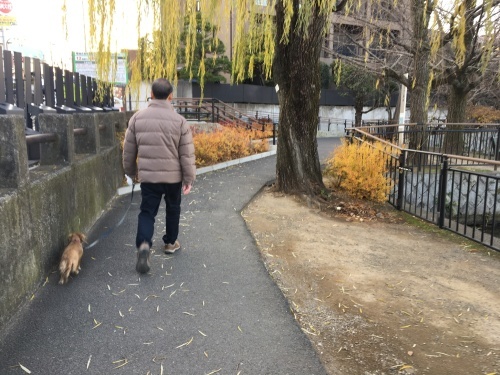 b0330040_22155295.jpeg