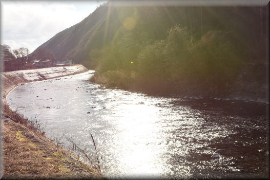 f0363141_08155327.jpg