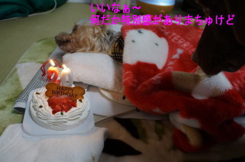d0013645_14161961.jpg