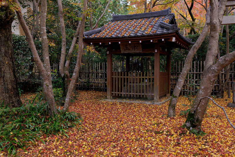 京都の紅葉2017 蓮華寺の額縁紅葉_f0155048_22355311.jpg