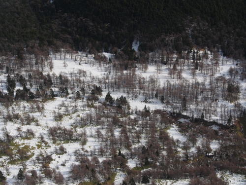 b0335256_12133093.jpg
