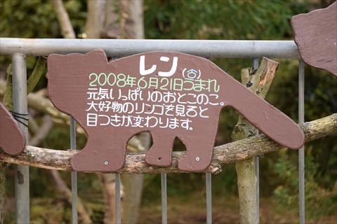 b0338756_20412425.jpg