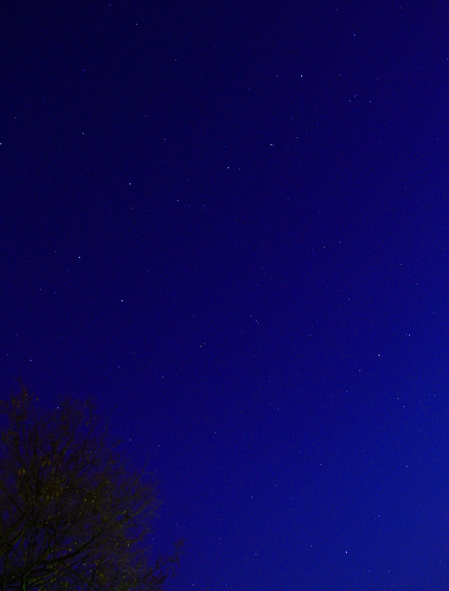 a0248459_13433163.jpg