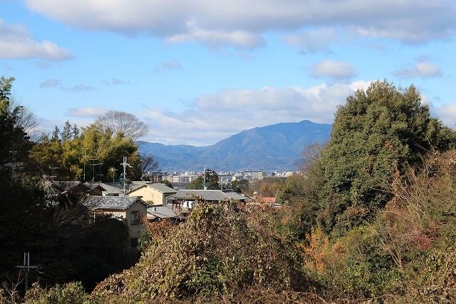 b0044663_15070225.jpg