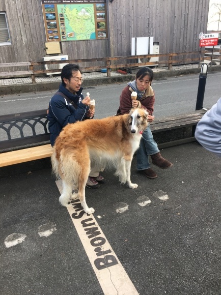 載せてなかった写真あれこれ！_c0260264_19410942.jpg