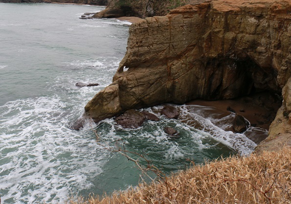 f0230777_19352919.jpg