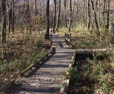 b0123486_11252600.jpg