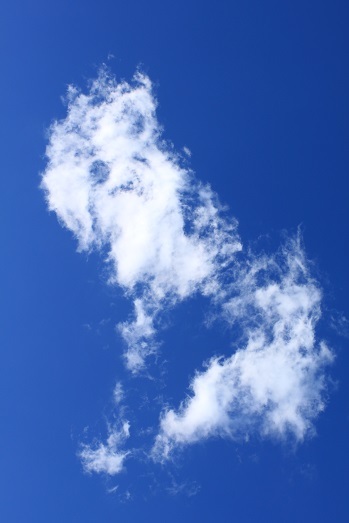 d0183387_15560619.jpg