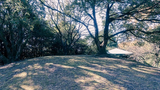 e0176993_07430070.jpg