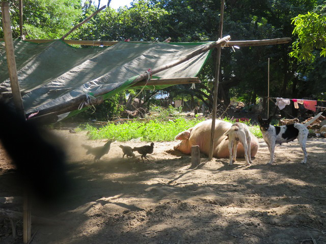 f0346196_14192612.jpg