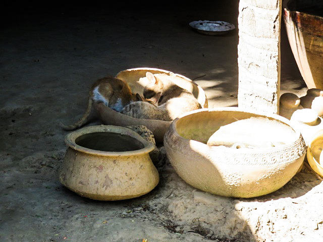 f0346196_14233299.jpg