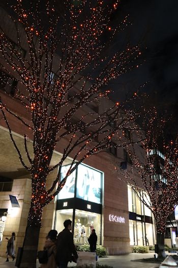 c0090198_2139122.jpg