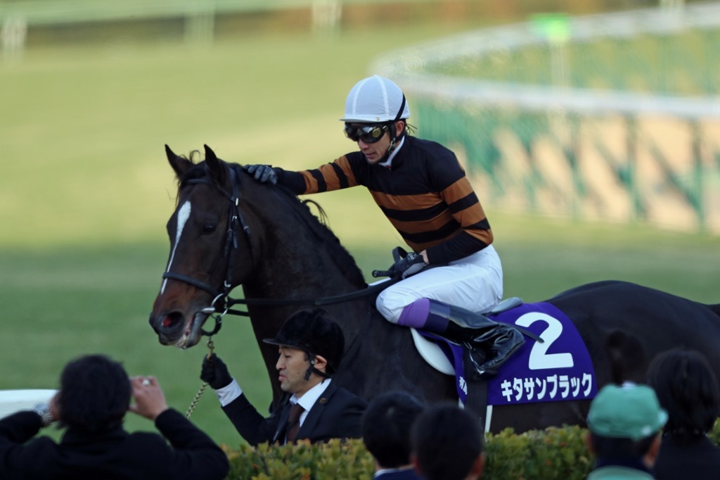 2017年12月24日 有馬記念(GⅠ)&キタサンブラック引退 2017年12月24日 有馬記念(GⅠ)&キタサンブラック引退