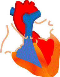 d0364500_11591848.gif