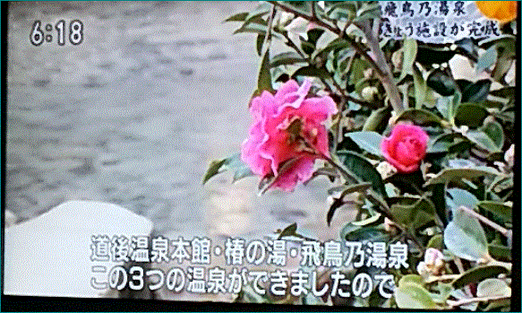 f0231709_21232889.gif
