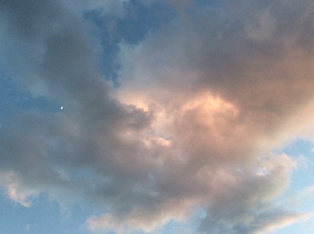 b0344816_23124503.jpeg