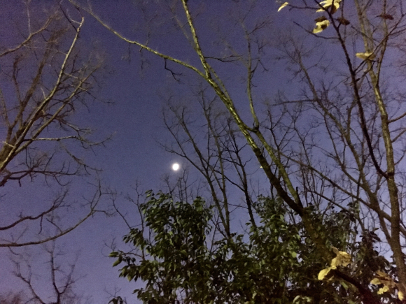 冬の空、浮かぶ月_a0098418_23020582.jpg