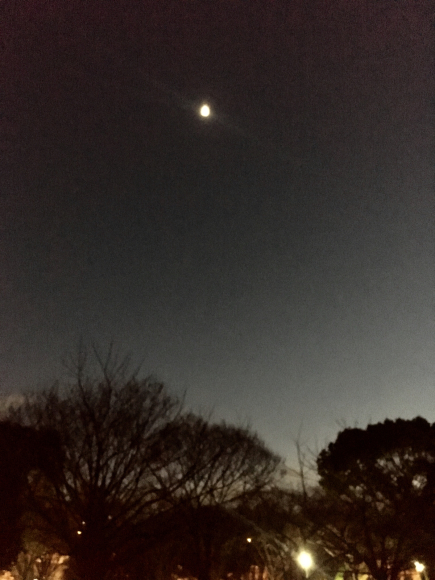 冬の空、浮かぶ月_a0098418_23020977.jpg