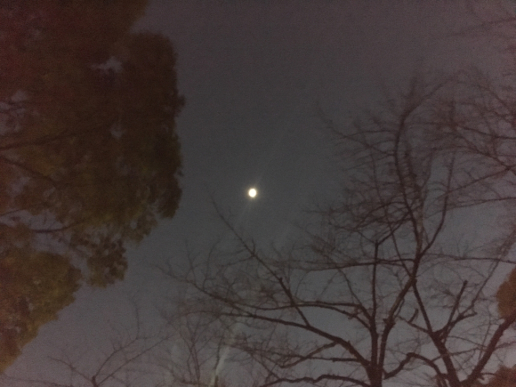 a0098418_23021286.jpg