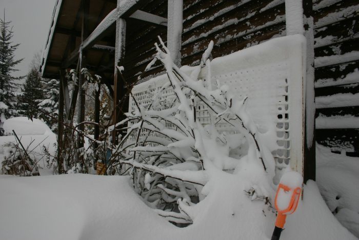 猛吹雪_d0143719_14064270.jpg