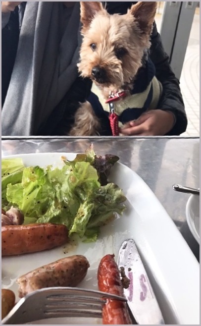 d0017632_15241567.jpeg