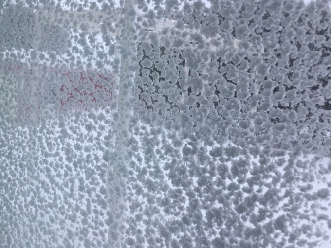 a0329935_10005645.jpeg