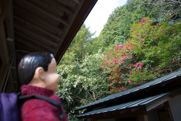 椿大神社 〜前編〜 猿田彦大神の総本社_e0369736_13152003.jpg