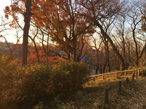 b0330040_09132832.jpeg